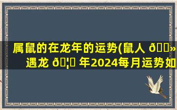 属鼠的在龙年的运势(鼠人 🌻 遇龙 🦁 年2024每月运势如何)